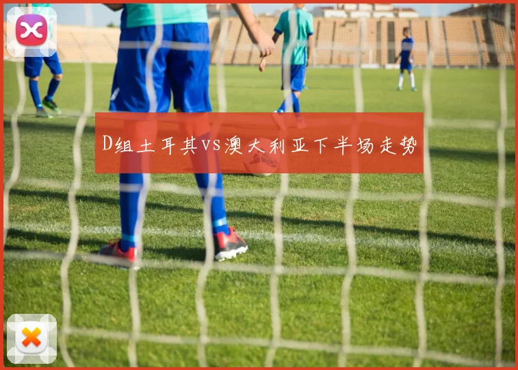 D组土耳其vs澳大利亚下半场走势