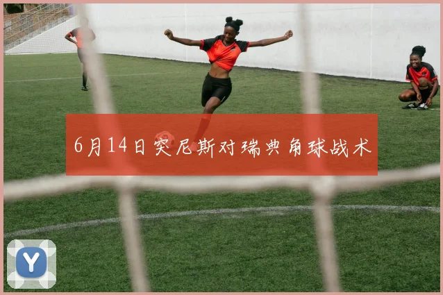6月14日突尼斯对瑞典角球战术