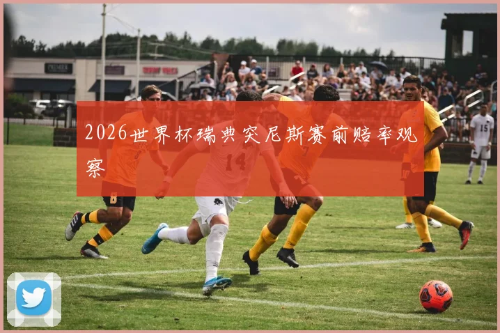 2026世界杯瑞典突尼斯赛前赔率观察