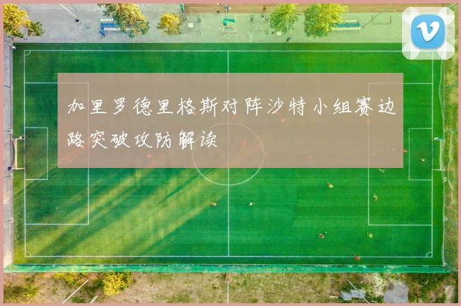 加里罗德里格斯对阵沙特小组赛边路突破攻防解读