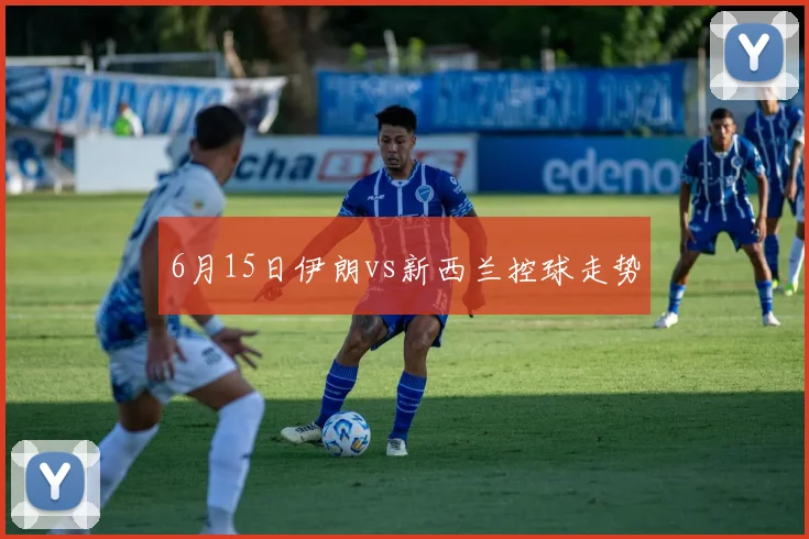 6月15日伊朗vs新西兰控球走势