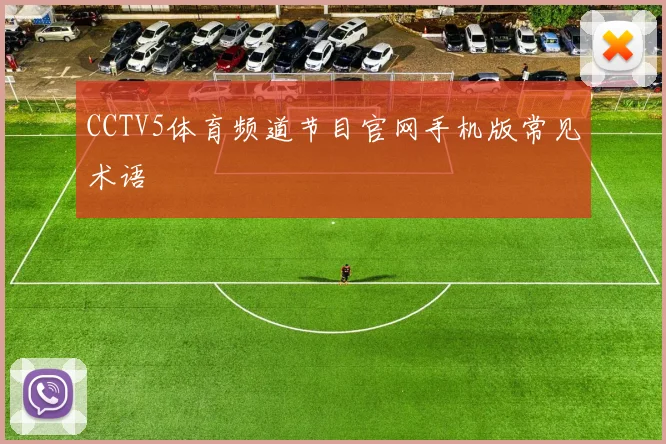 CCTV5体育频道节目官网手机版常见术语